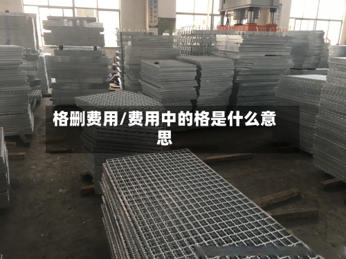 格删费用/费用中的格是什么意思-第3张图片