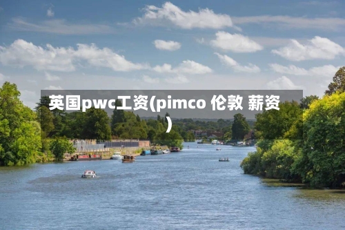 英国pwc工资(pimco 伦敦 薪资)