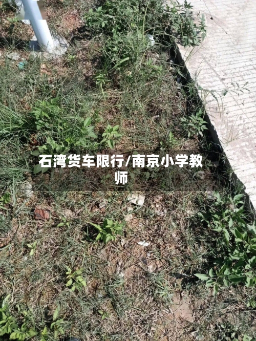 石湾货车限行/南京小学教师