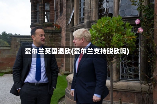 爱尔兰英国退欧(爱尔兰支持脱欧吗)