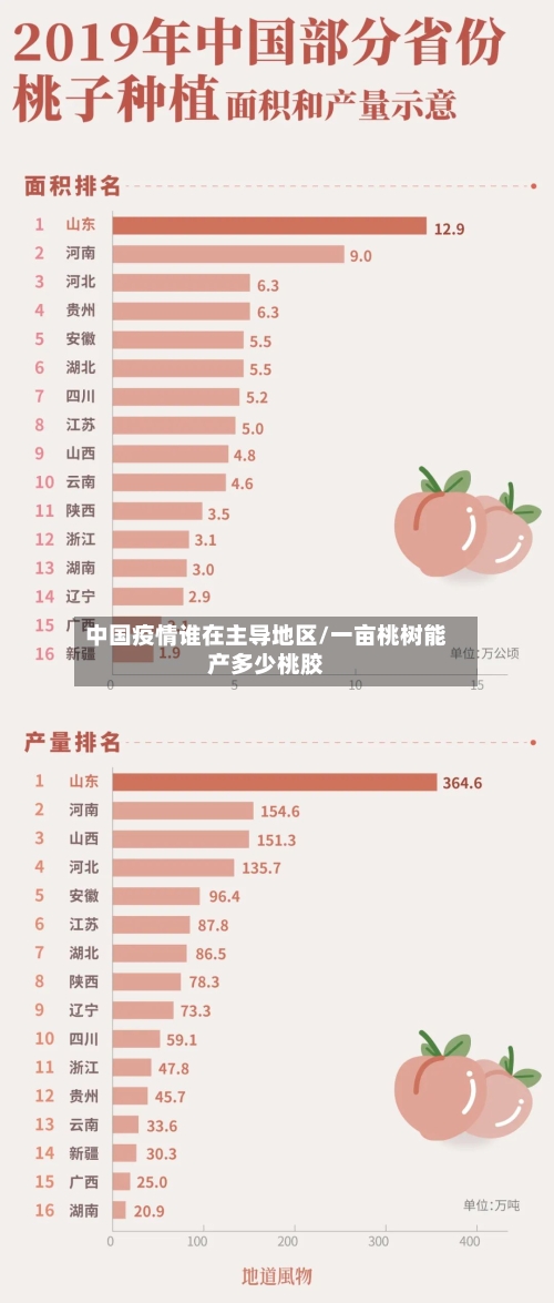 中国疫情谁在主导地区/一亩桃树能产多少桃胶-第2张图片