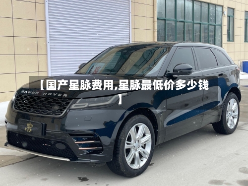 【国产星脉费用,星脉最低价多少钱】-第2张图片