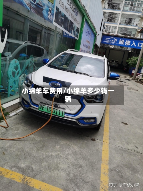 小绵羊车费用/小绵羊多少钱一辆