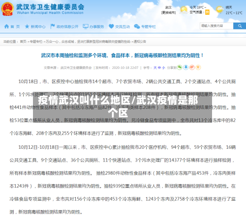 疫情武汉叫什么地区/武汉疫情是那个区-第3张图片