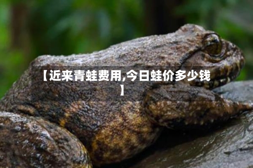 【近来青蛙费用,今日蛙价多少钱】-第2张图片