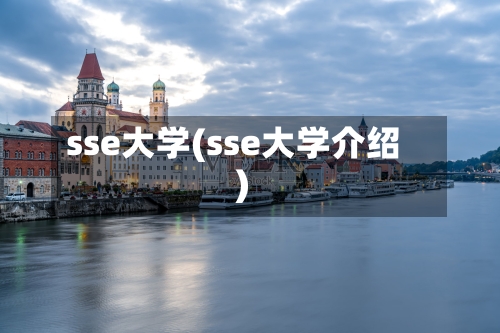 sse大学(sse大学介绍)-第3张图片