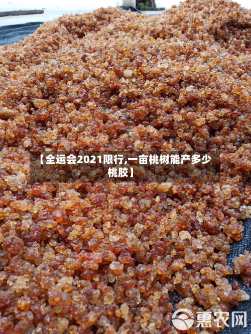 【全运会2021限行,一亩桃树能产多少桃胶】-第2张图片