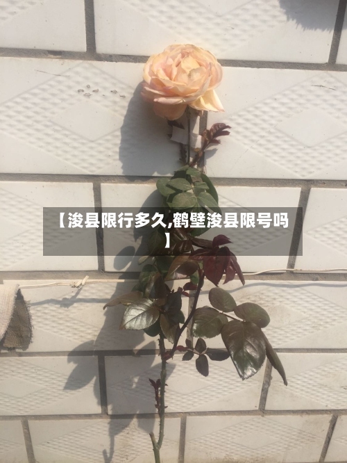 【浚县限行多久,鹤壁浚县限号吗】