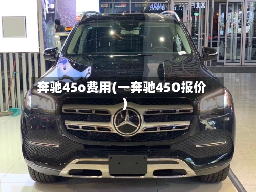 奔驰45o费用(一奔驰45O报价)-第3张图片