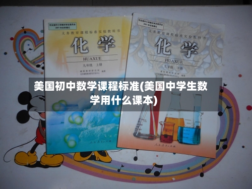 美国初中数学课程标准(美国中学生数学用什么课本)-第3张图片