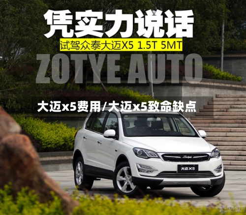 大迈x5费用/大迈x5致命缺点-第3张图片
