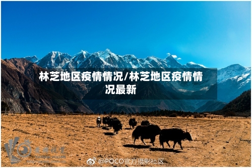林芝地区疫情情况/林芝地区疫情情况最新