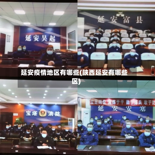延安疫情地区有哪些(陕西延安有哪些区)