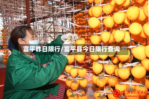 富平昨日限行/富平县今日限行查询-第2张图片