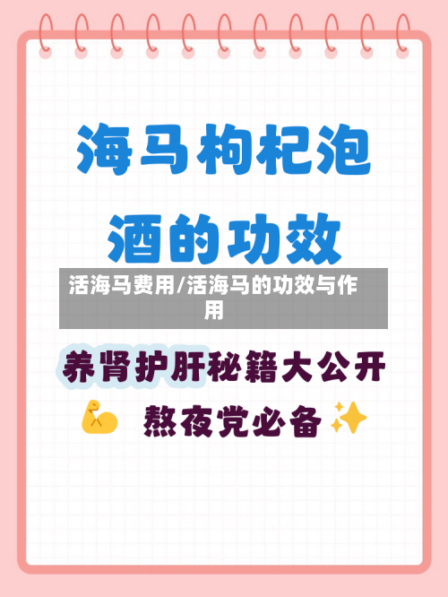 活海马费用/活海马的功效与作用-第3张图片