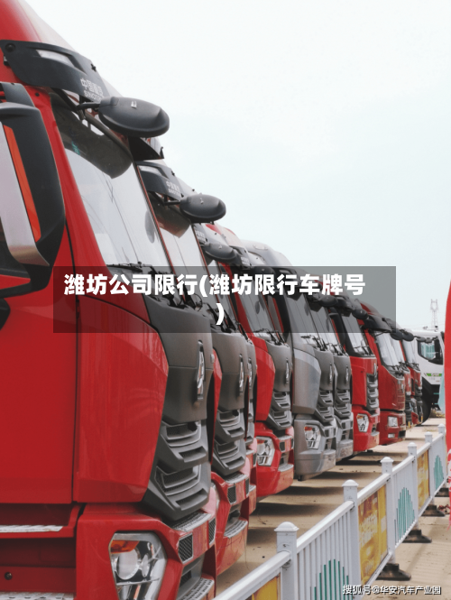 潍坊公司限行(潍坊限行车牌号)-第2张图片
