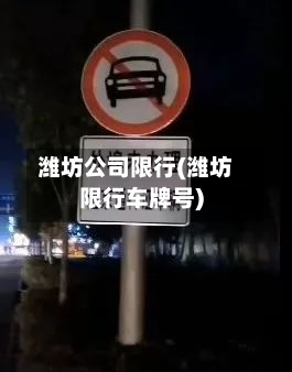 潍坊公司限行(潍坊限行车牌号)