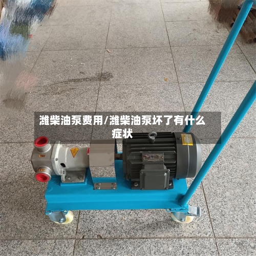 潍柴油泵费用/潍柴油泵坏了有什么症状