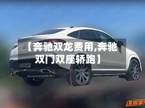 【奔驰双龙费用,奔驰双门双座轿跑】