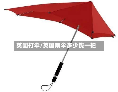 英国打伞/英国雨伞多少钱一把-第2张图片