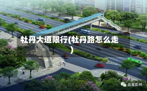牡丹大道限行(牡丹路怎么走)-第3张图片
