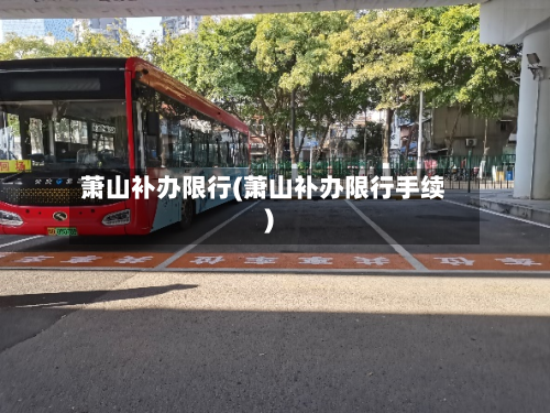 萧山补办限行(萧山补办限行手续)