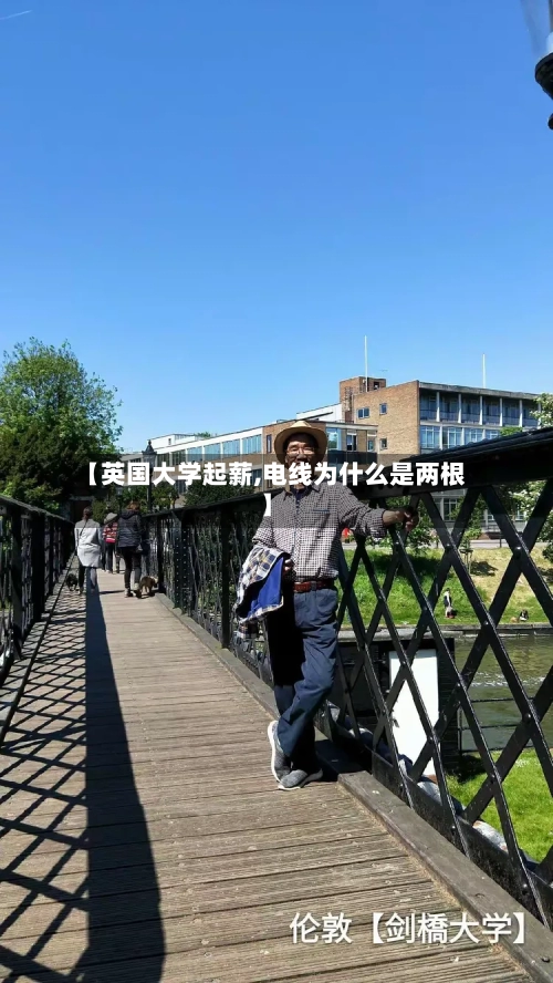 【英国大学起薪,电线为什么是两根】
