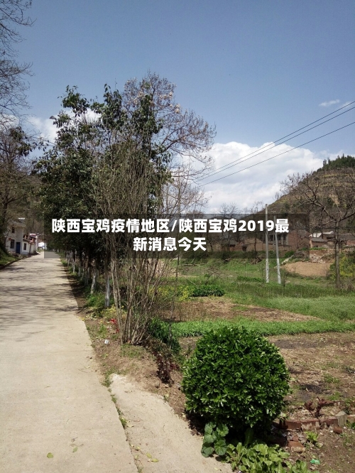 陕西宝鸡疫情地区/陕西宝鸡2019最新消息今天-第3张图片