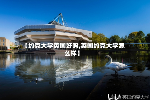 【约克大学英国好吗,英国约克大学怎么样】