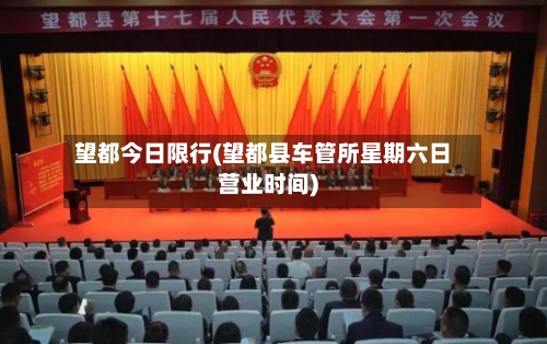 望都今日限行(望都县车管所星期六日营业时间)-第2张图片