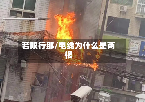 若限行那/电线为什么是两根-第2张图片