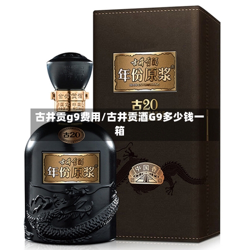 古井贡g9费用/古井贡酒G9多少钱一箱-第3张图片