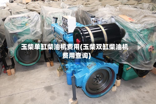 玉柴单缸柴油机费用(玉柴双缸柴油机费用查询)