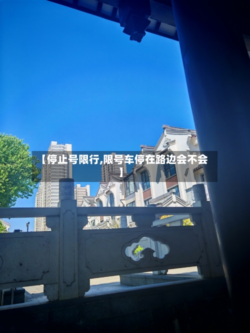 【停止号限行,限号车停在路边会不会】-第2张图片