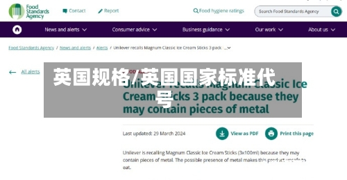 英国规格/英国国家标准代号