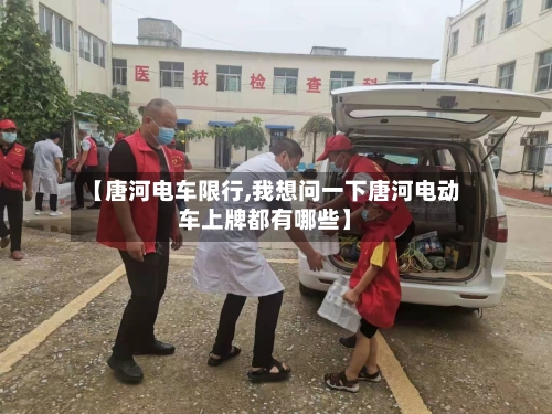 【唐河电车限行,我想问一下唐河电动车上牌都有哪些】-第3张图片