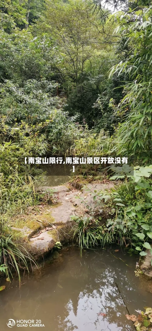 【南宝山限行,南宝山景区开放没有】-第2张图片