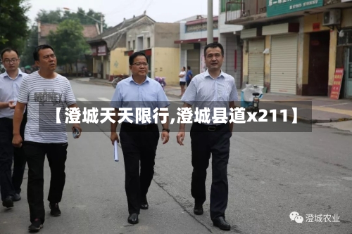【澄城天天限行,澄城县道x211】