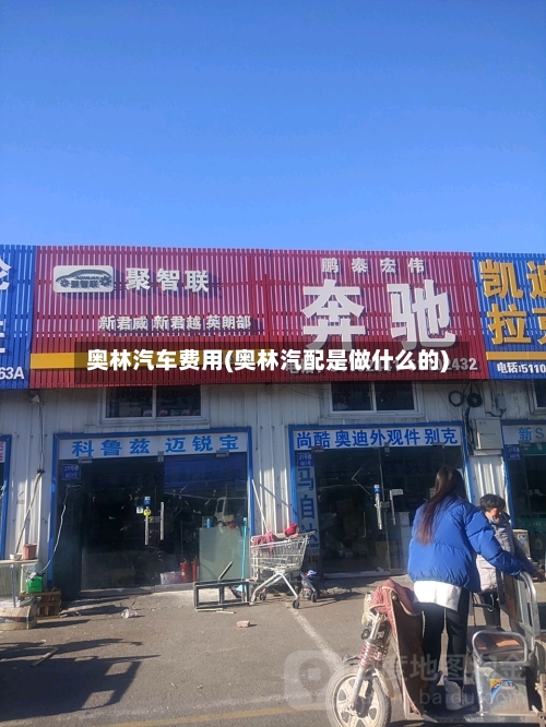 奥林汽车费用(奥林汽配是做什么的)-第3张图片