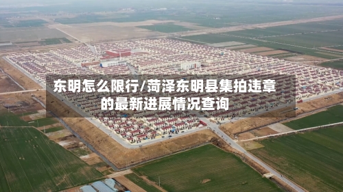 东明怎么限行/菏泽东明县集拍违章的最新进展情况查询-第2张图片