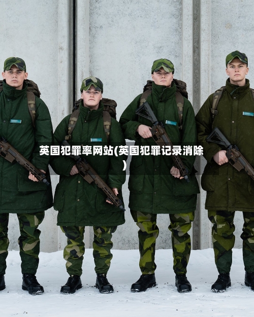 英国犯罪率网站(英国犯罪记录消除)-第2张图片