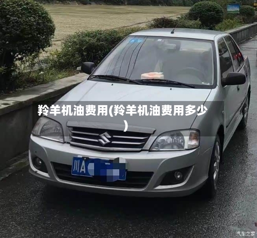 羚羊机油费用(羚羊机油费用多少)-第2张图片