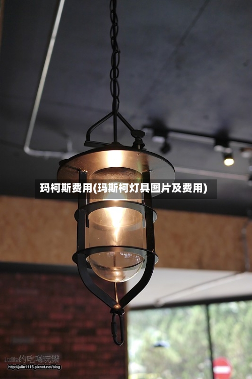 玛柯斯费用(玛斯柯灯具图片及费用)-第2张图片
