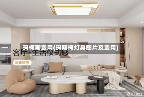 玛柯斯费用(玛斯柯灯具图片及费用)
