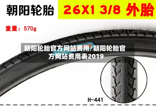 朝阳轮胎官方网站费用/朝阳轮胎官方网站费用表2019-第3张图片