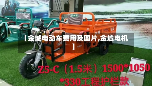 【金城电动车费用及图片,金城电机】
