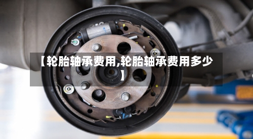 【轮胎轴承费用,轮胎轴承费用多少】