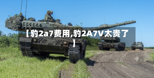 【豹2a7费用,豹2A7V太贵了】-第2张图片