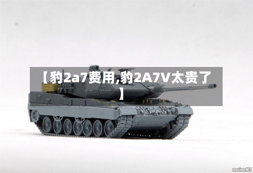 【豹2a7费用,豹2A7V太贵了】-第3张图片