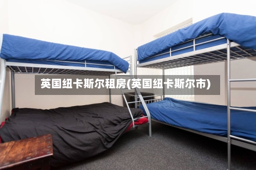 英国纽卡斯尔租房(英国纽卡斯尔市)-第2张图片